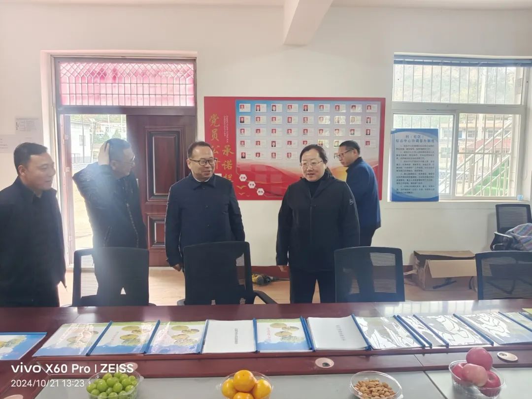 1729670995858.jpg 415.jpg